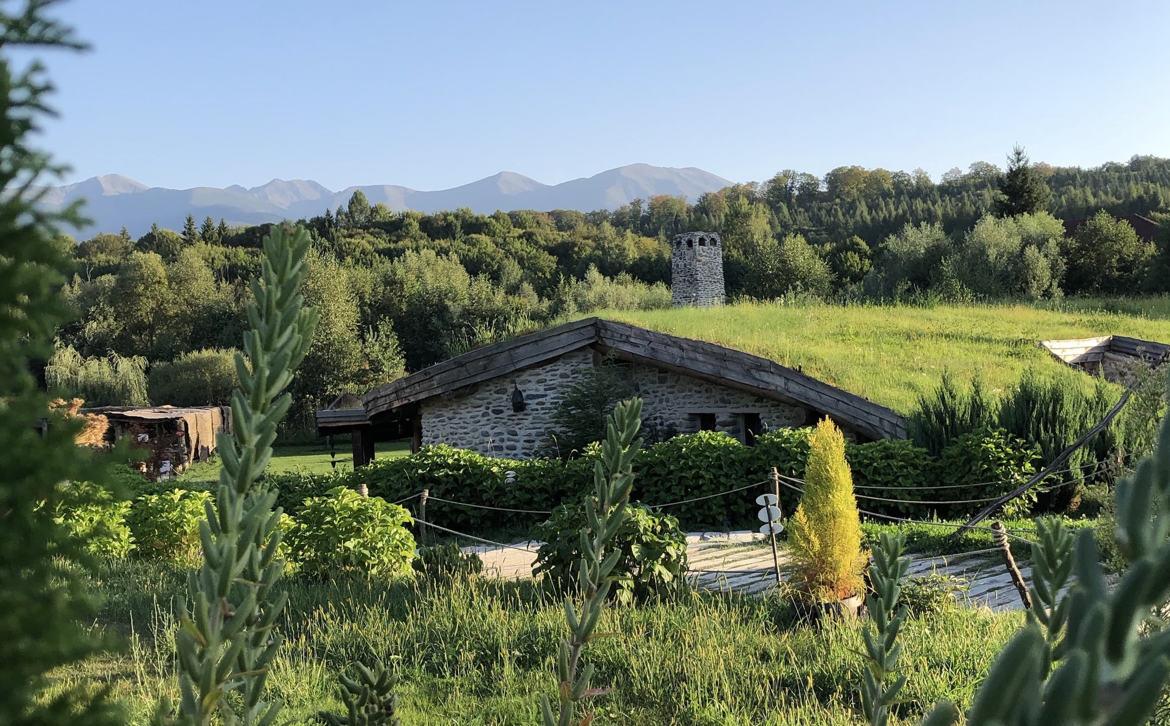 Apa yang dimaksud rumah hijau beserta manfaatnya